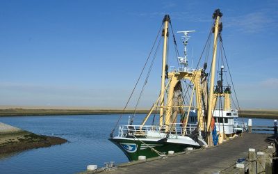 Openstelling saneringsregeling visserij